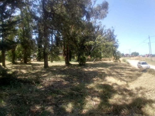 Imagen 2 de 3 de Terreno En Venta En Bosque Peralta Ramos