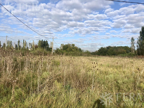 Venta De Terreno En Arturo Segui (27767)