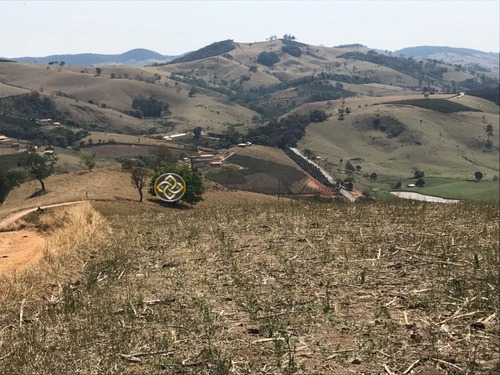 Imagem 10 de 17 de Sitio A Venda Em Bueno Brandão (9,5 Alqueires) - St00010 - 70084682