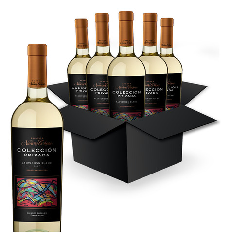 Vino Blanco Colección Privada Sauvignon Navarro Correa Caja