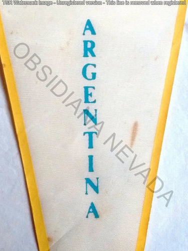 Antiguo Banderín Congreso Eucarístico Ba Argentina Tela 1984 (Usado)