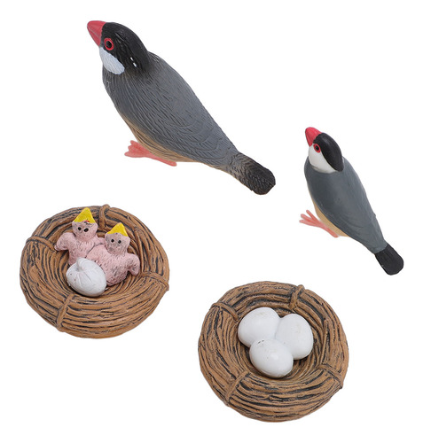 Juego De Modelos De Aves, Juguete Para Incubar Con Ciclo De