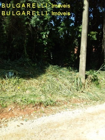 Imagem 3 de 5 de Terreno - Te01117 - 69237288