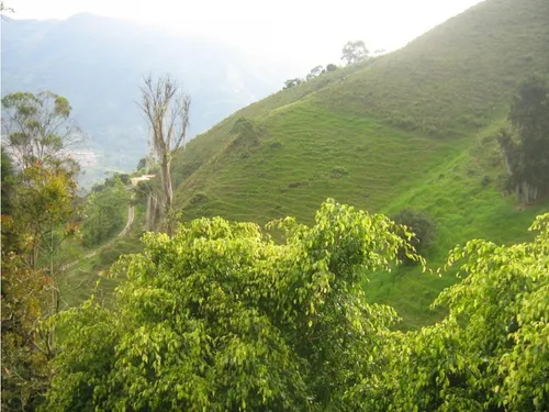 Finca En Vender En Dabeiba