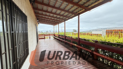 Exclusiva Parcela En Estancia El Tangue, Tongoy