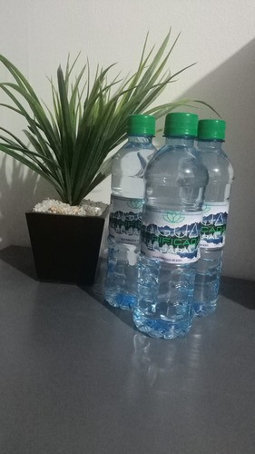 Agua Alcalina 500 Ml