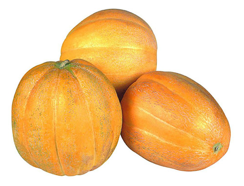 100 Sementes Melão Caipira Gaúcho Aromático.