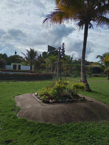 Imagen 7 de 9 de Se Vende Finca En Orocual Ve02-014zn-ic