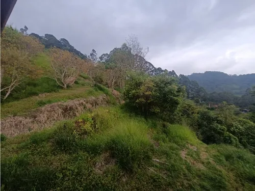 Se Vende Finca En Salento - Quindío
