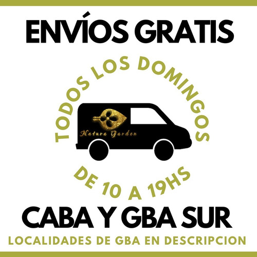 Buxus Boj En Maceta 7l Envio Gratis Caba - Natura Garden