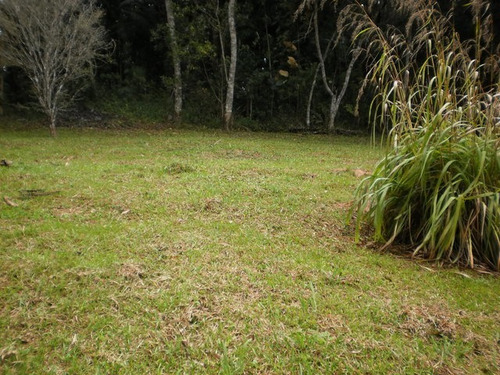 Imagem 10 de 19 de Aceita Negociar - Sp Capital - 58245