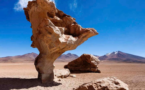 Imagen 8 de 10 de Chile (ed. Lujo Tapa Dura) / Jennifer Wintgens