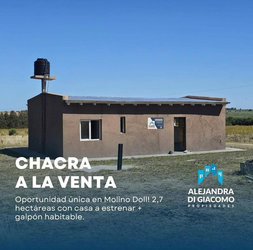 Chacra A La Venta, Molino Doll