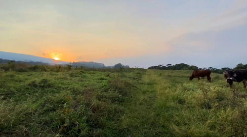 Imagen 10 de 13 de Finca En Venta Via Casa Del Padre Tachira Naciente Vialidad Excelente