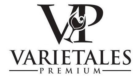 Vino Padrillos Malbec Magnum X1500ml Ernesto Catena
