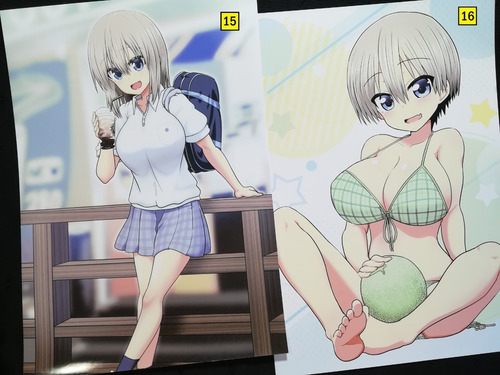 Posters A3 29x42cm Anime Uzaki-chan Wa Asobitai!