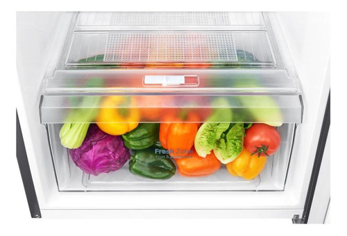 Heladera inverter auto defrost LG Top Freezer GT29WPPDC platinum silver con freezer 254L 127V