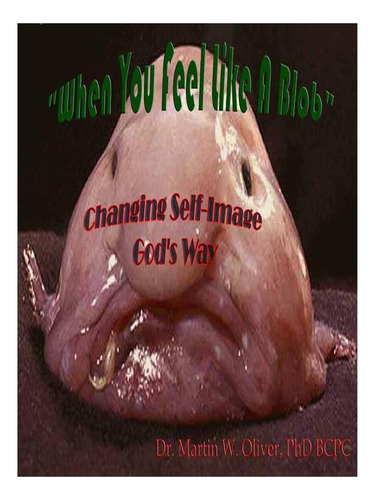 Libro: When You Feel Like A Blob: Changing Self-image Gods
