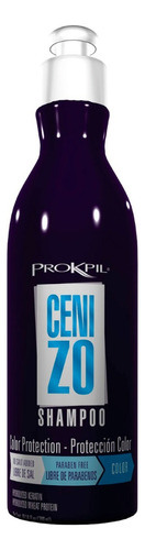 Prokpil Tratamiento Color Cenizo X300ml