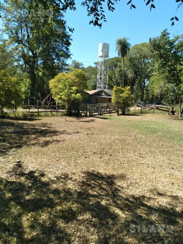 Imagen 7 de 12 de Quinta - Manuel Derqui