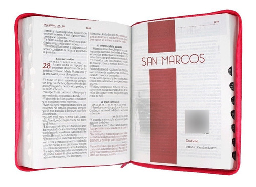 Imagen 4 de 5 de Biblia Reina Valera 1960 Letra Gigante Cierre Índice Rosa Qr