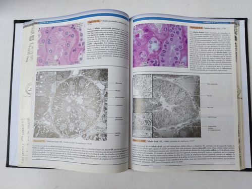 Libro Histologia Correlaciones Clinicas Cui, Dongmei 156j1 (Usado)