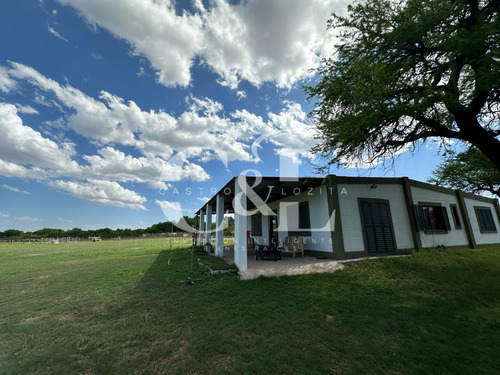 Venta De Quinta De 10 Hectáreas En Villa Mercedes, San Luis