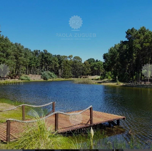 Terreno Lote En Venta En Pinamar, Costa Atlántica, Buenos Aires