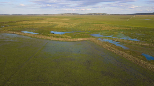 Venta Campo 740 Hás Rocha Agrícola Ganadero R 7085 (ref: Atm-7085)
