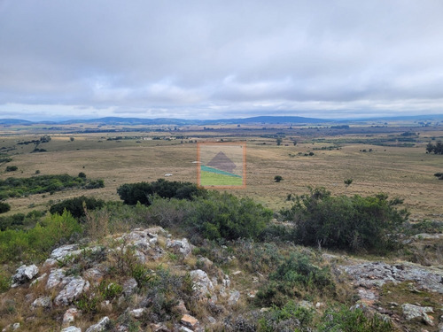 Imagen 14 de 30 de 79 Hás Campo Criador Y Serrano En Corte De La Leña