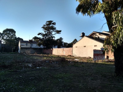 Imagen 5 de 10 de Terreno En Venta En San Bernardo
