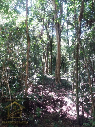 Imagem 1 de 3 de Chacara - Ch00028 - 33606183