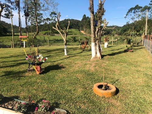 Imagem 4 de 21 de Sitio Com Casa 3 Dormitorios Em Camboriu- Estuda Permuta Em Balneário Camboriu - T211 - 69192948