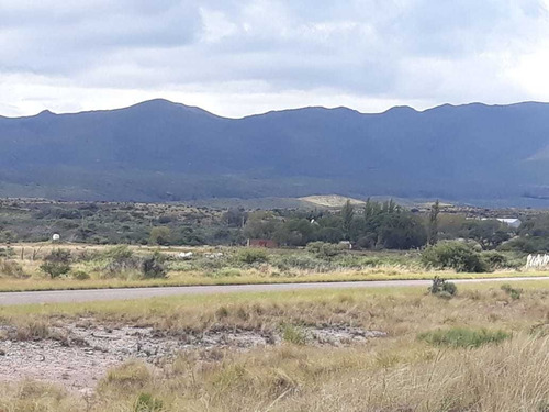 Imagen 1 de 11 de Campo De 350 Has.en San Luis , (gran Oportunidad) Dño Direct
