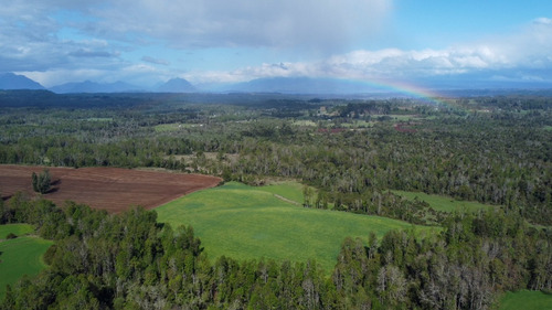 Campo En La Unión Cercano Al Lago Ranco 27,4 Hectáreas