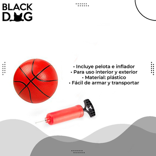Set De Basketball Con Pelota E Inflador Bde