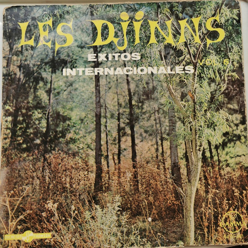 Disco Lp:les Djinns- Exitos Internacionales 6