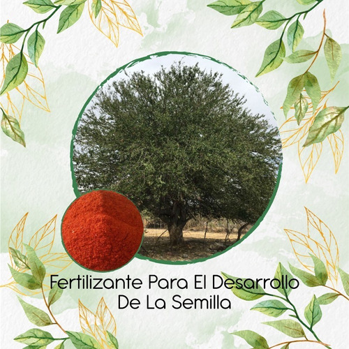 Fertilizante Para El Desarrollo De Árbol Gallinero