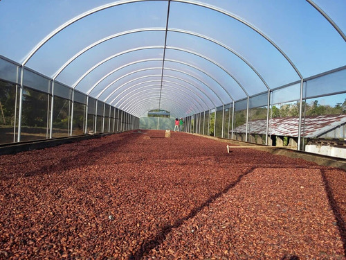 Lona Plastica Estufa Agricola Transparente 100 Micras 4x75m