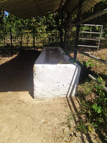 Imagen 21 de 30 de Se Vende Granja Cojedes Att-134 04125067379 04244900499
