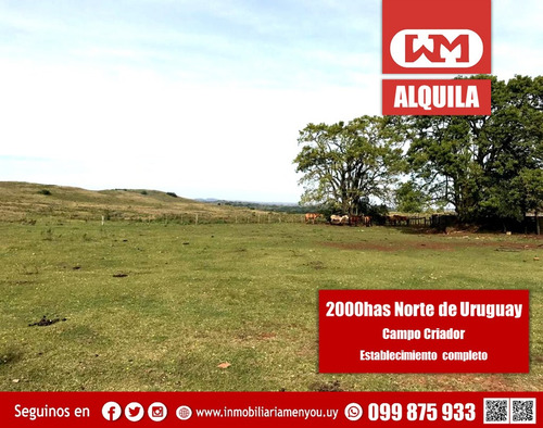 Alquiler Campo 3000 Hectáreas Uruguay Norte
