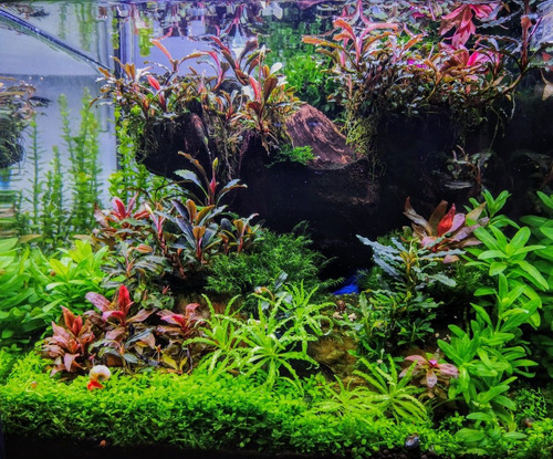 Acondicionador Acuario Envy 350