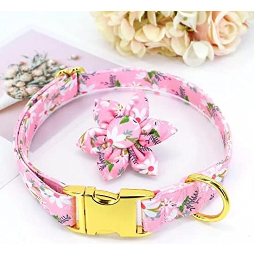 Beirui Lindo Collares De Perros De Niña Con Patrones Cuello