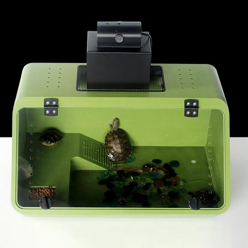 Accesorios Para Tanques De Tortugas Plataforma Para Verde