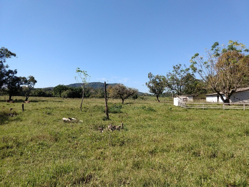 Chácara 15.000 M² - Costa Do Ipiranga - Gravataí - Rs - 1754 - 32429801