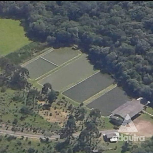 Imagem 4 de 14 de Chácaras À Venda