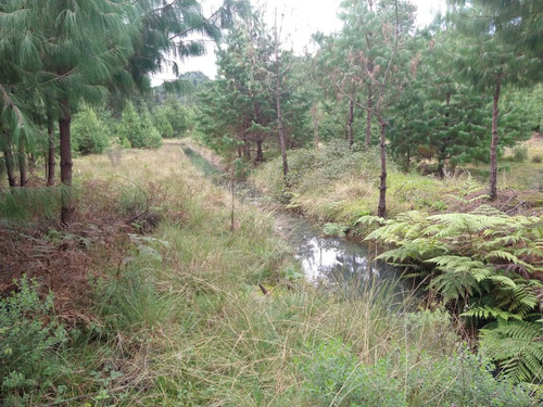 Imagen 7 de 14 de Rancho En Venta En Agua Blanca Pachuca Hidalgo