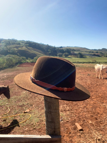 Bandinha De Chapéu Mangalarga