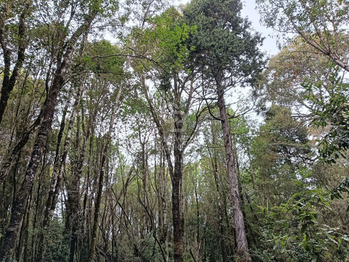 A 15 Min. Del Aeropuerto/acceso Parque Laguen Ñadi.