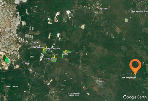 Imagen 5 de 8 de Excelente Terreno De 6.3 Ha Sobre Carretera Merida - Cancun